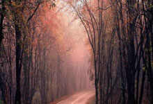 海星体育：国米晒对阵乌迪内斯海报：蓝色巨蛇vs斑马⚔️.