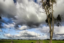 巴萨6-1+双杀挺进4强!切尔西绝处逢生另类让2追3+即将激战巴萨.