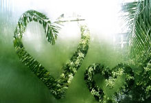 海星体育：喜讯！国足出线迎转机，25岁归化对象有望驰援，6月份2连胜=晋级.