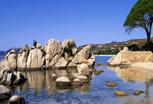 山东健儿完成亚冬会首秀 3金4银2铜收官.